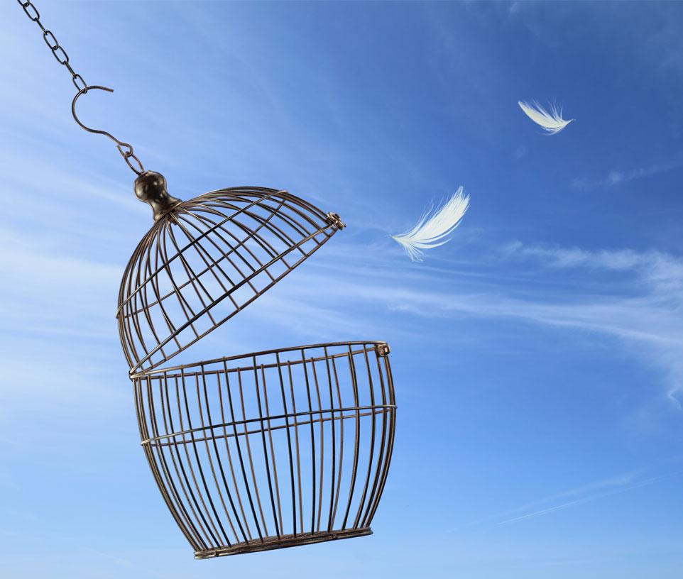 Rewind Therapy for PTSD, Trauma & Phobias - Vicki Crane